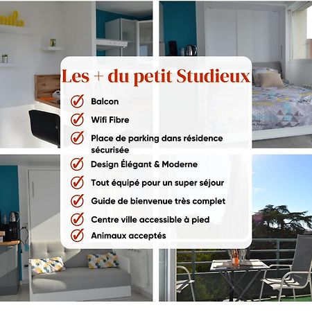 Le Petit Studieux - Parking - Animaux Acceptes - Centre Ville Accessible A Pied アルビ エクステリア 写真