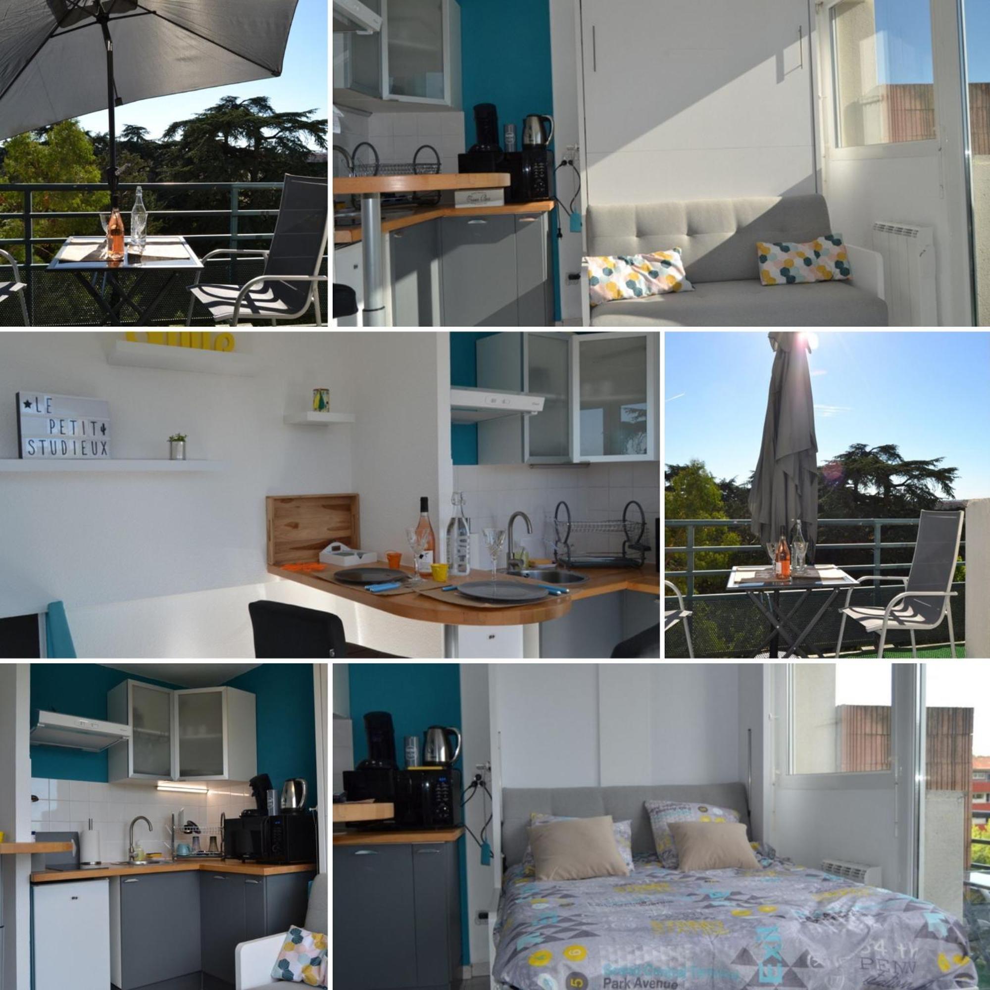 Le Petit Studieux - Parking - Animaux Acceptes - Centre Ville Accessible A Pied アルビ エクステリア 写真