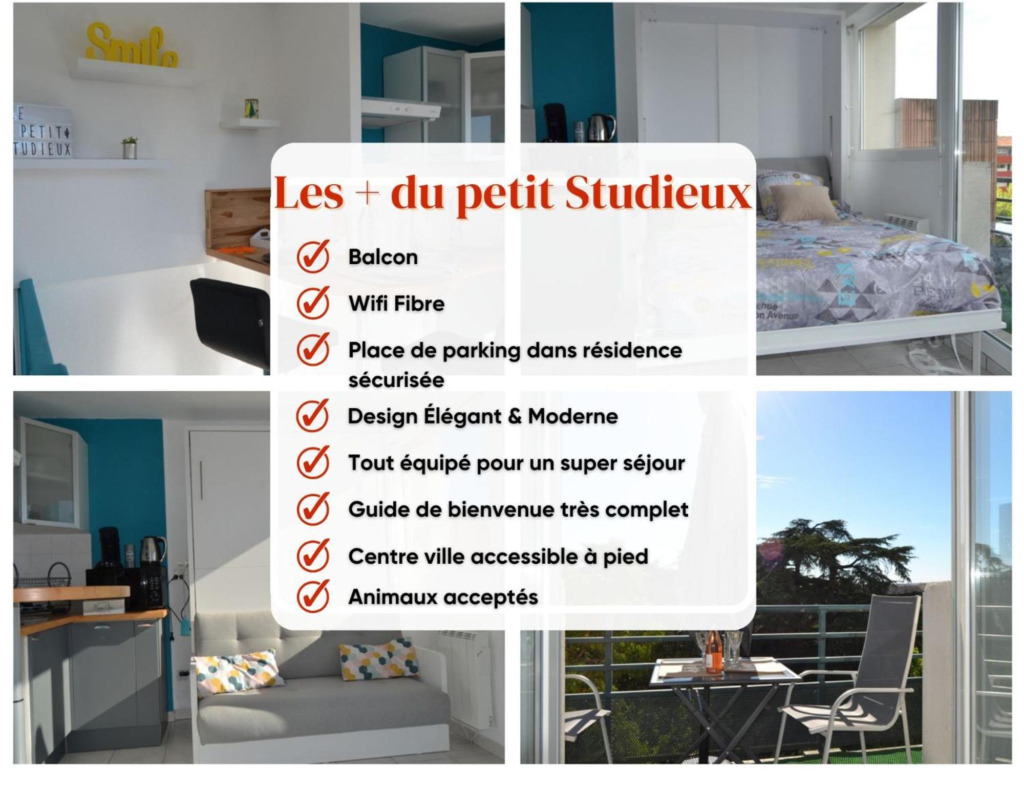 Le Petit Studieux - Parking - Animaux Acceptes - Centre Ville Accessible A Pied アルビ エクステリア 写真
