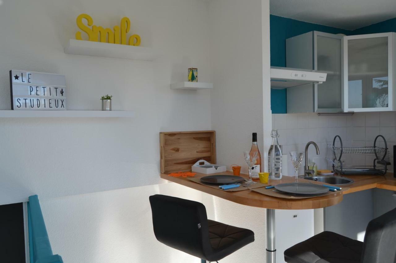 Le Petit Studieux - Parking - Animaux Acceptes - Centre Ville Accessible A Pied アルビ エクステリア 写真