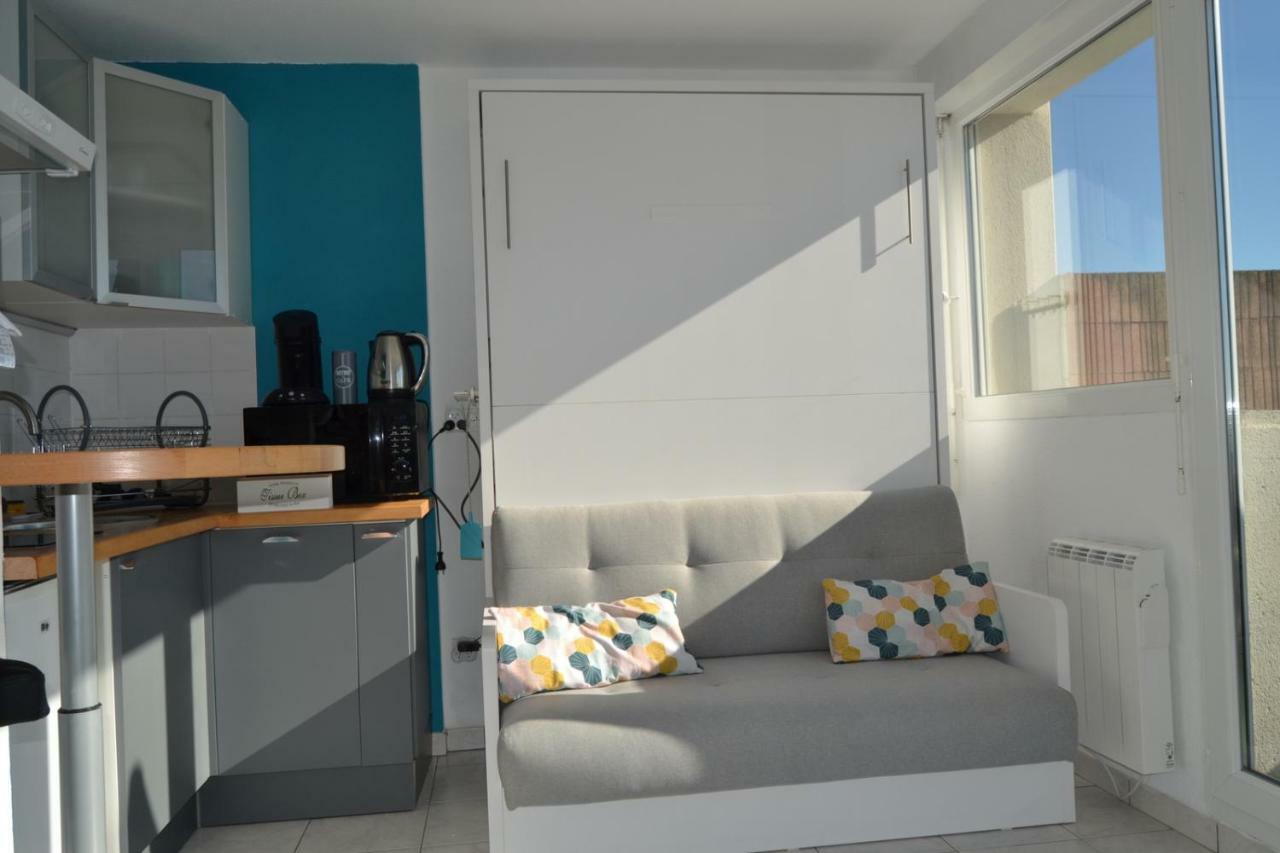 Le Petit Studieux - Parking - Animaux Acceptes - Centre Ville Accessible A Pied アルビ エクステリア 写真