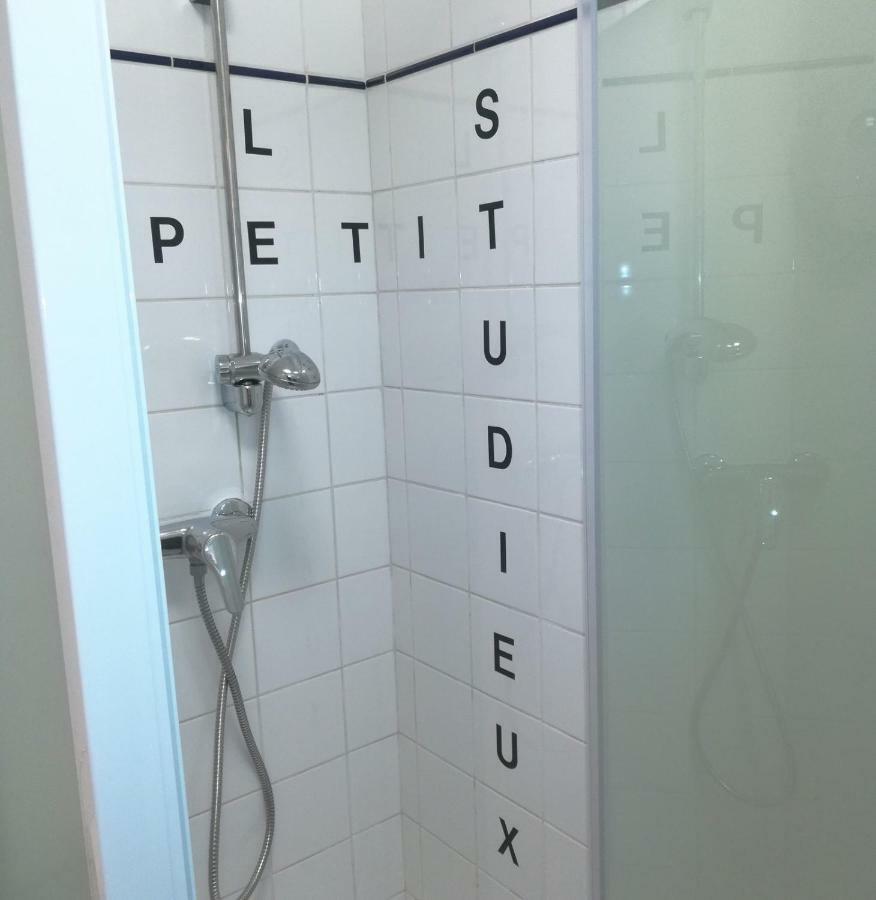 Le Petit Studieux - Parking - Animaux Acceptes - Centre Ville Accessible A Pied アルビ エクステリア 写真