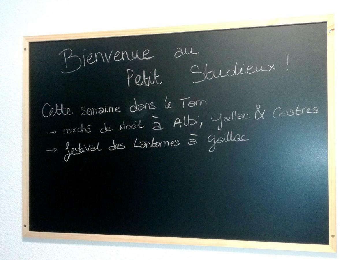Le Petit Studieux - Parking - Animaux Acceptes - Centre Ville Accessible A Pied アルビ エクステリア 写真