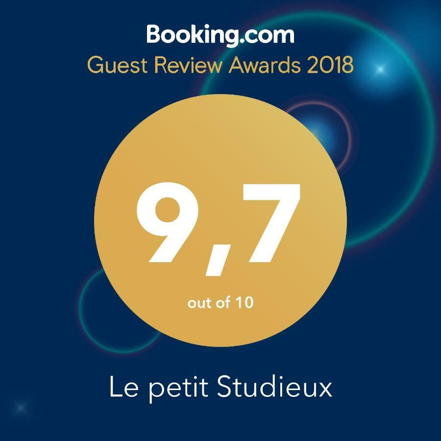 Le Petit Studieux - Parking - Animaux Acceptes - Centre Ville Accessible A Pied アルビ エクステリア 写真